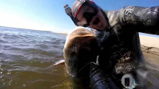 Подводная охота 2018 в Волгограде видео