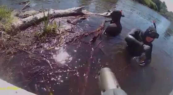 Подводная охота на реке Бузулук видео