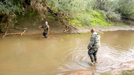 Ловля щуки бреднем видео