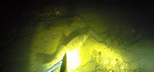 Ночная подводная охота на Волге видео