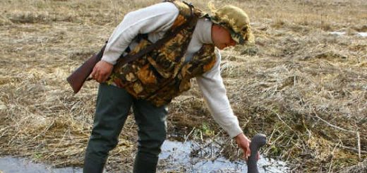 Охота на гуся в Татарстане 2018 видео