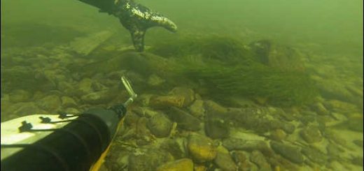 Подводная охота зимой 2015 года видео