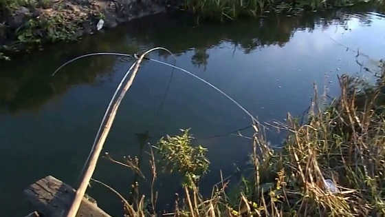Рыбалка на паука в начале апреля видео