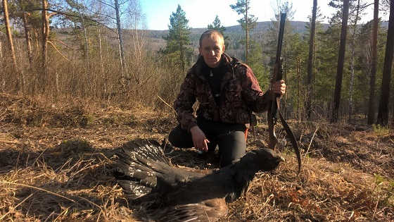 Весенняя охота на глухаря на току видео