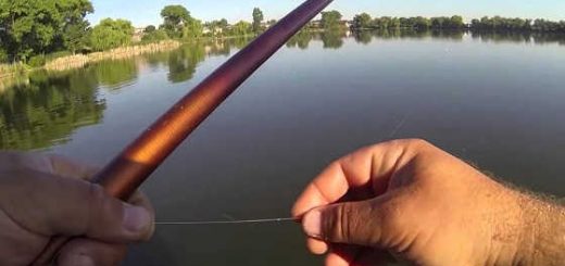 Летняя рыбалка на поплавочную удочку видео