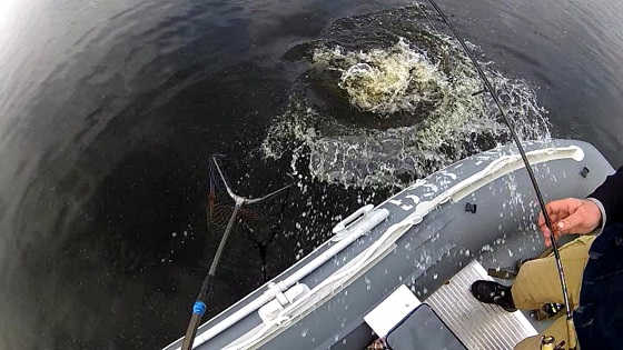Ловля щуки в Карелии видео