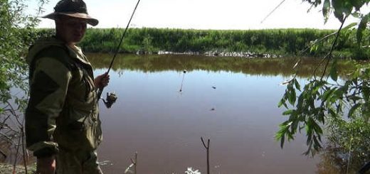 Ловля диких сибирских сазанов видео