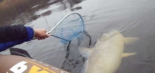 Необычные случаи на рыбалке видео