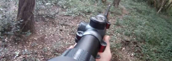 Охота на кабана в июне видео