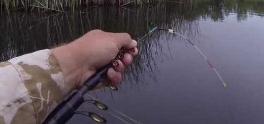 Рыбалка на карпа летом видео