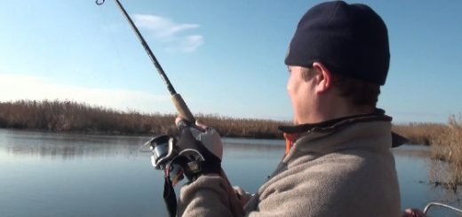 Рыбалка на спиннинг в Астрахани видео