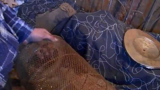 Рыбалка на вершу из камазовского фильтра видео