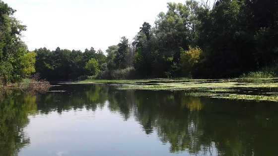 Рыбалка с ночёвкой на реке Северский донец видео