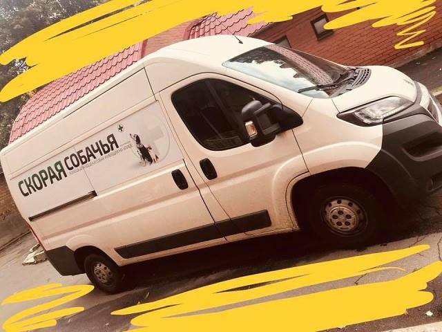 Собачья скорая помощь
