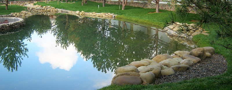 Уход за искусственным водоемом