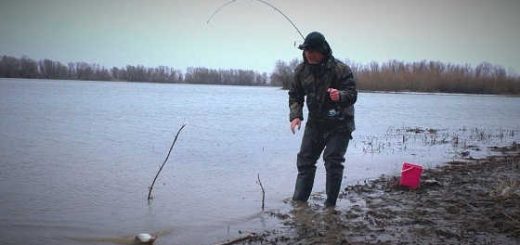 Весенняя рыбалка на донку закидушку видео