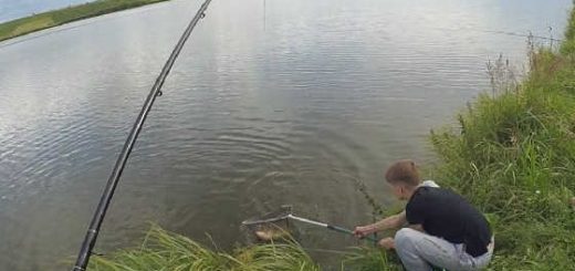 Июльская рыбалка на карпа видео
