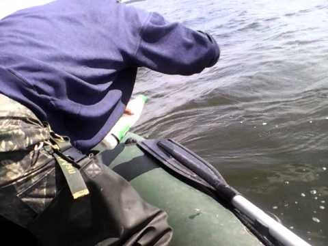 Ловля карпа на бутылку видео