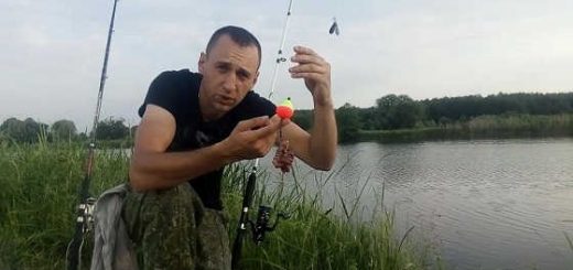 Ловля сома на реке Мухавец видео