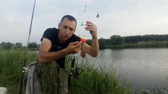 Ловля сома на реке Мухавец видео