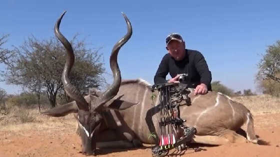Охота в Намибии с луком видео