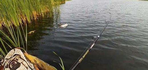 Отличная июльская рыбалка видео