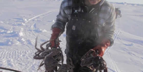 Подледный лов краба на Сахалине видео