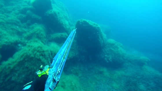 Подводная охота в Австралии видео