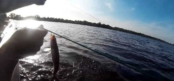 Рыбалка на перемет видео