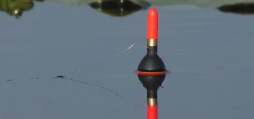 Рыбалка на поплавок в заповеднике видео