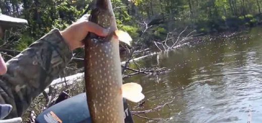 Секреты ловли щуки в июле видео