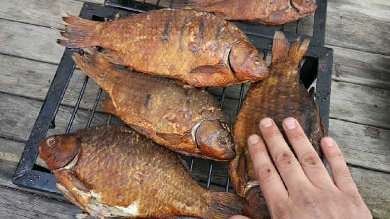 Караси горячего копчения
