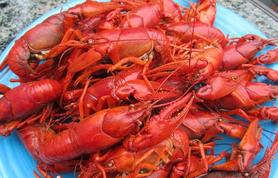 Копченые раки