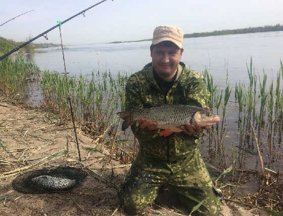 Ловля голавля на Волге