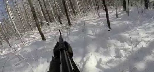 Охота на лося зимой видео