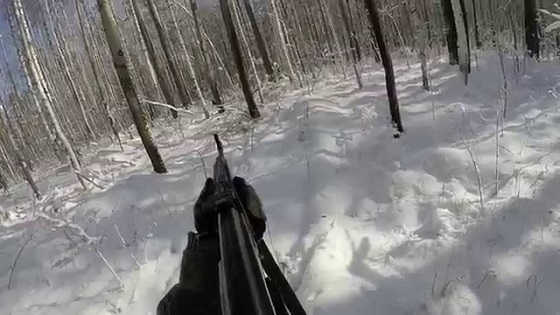Охота на лося зимой видео