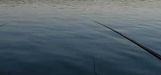 Рыбалка на озере Чернобутово