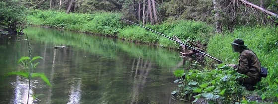 Рыбалка на таёжной речке