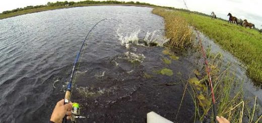 Рыбалка в Ирландии видео
