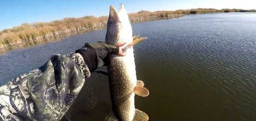 Рыбалка на щуку на реке Кулан