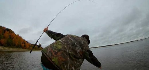 Рыбалка на Оби осенью