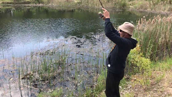 Ловля щук на малом водоеме