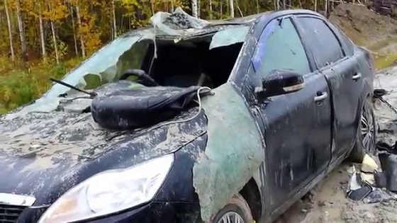 Медведь разорвал машину
