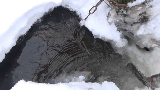 Проверка капканов на бобра