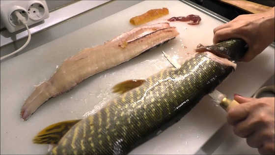 Разделка щуки