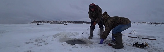 Вторая проверка сеток после 2 суток