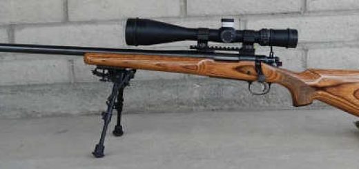 Remington 700 VLS