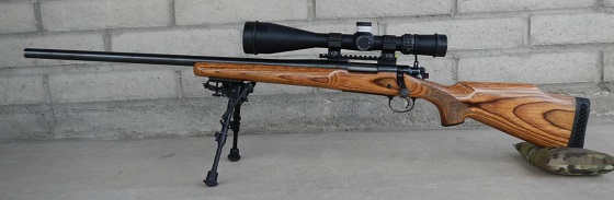 Remington 700 VLS