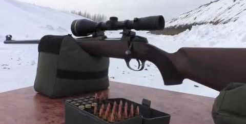 Sako 85 в 243 WIN