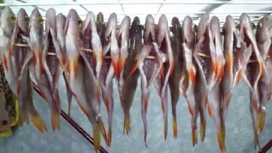 Как правильно сушить рыбу